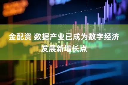 金配资 数据产业已成为数字经济发展新增长点