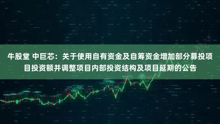 牛股堂 中巨芯：关于使用自有资金及自筹资金增加部分募投项目投资额并调整项目内部投资结构及项目延期的公告