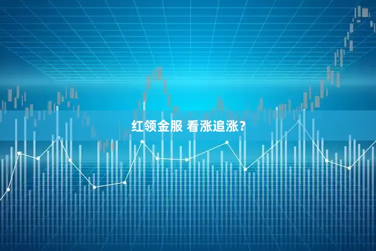 红领金服 看涨追涨？